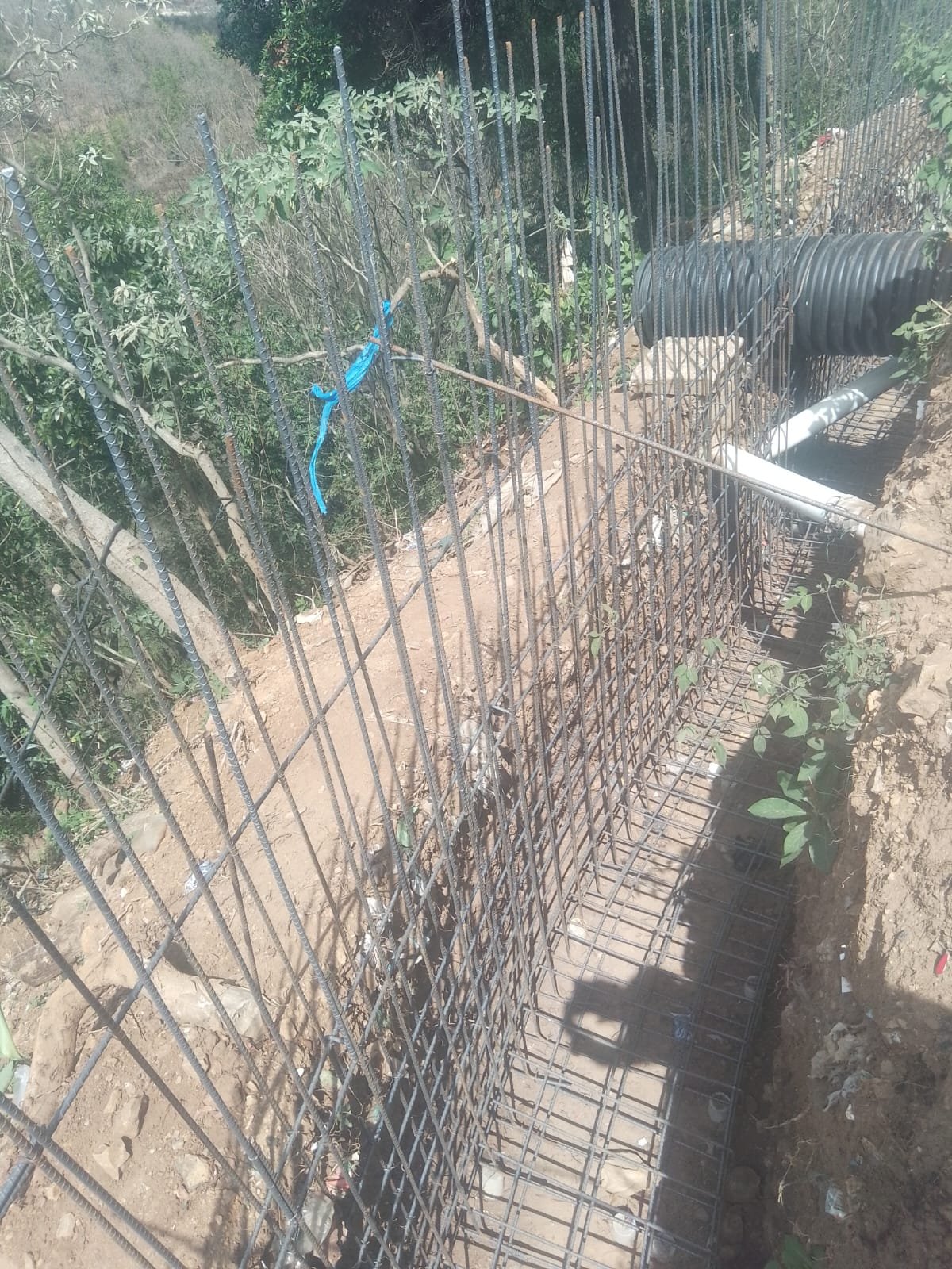 Reporte 15/05/2026
